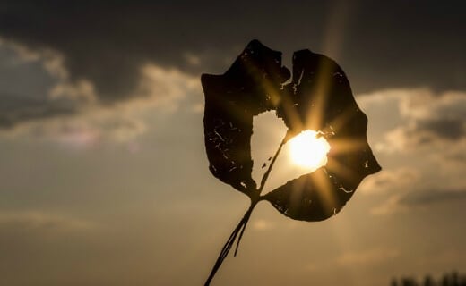 Förlorat en tävling men vunnit ett val